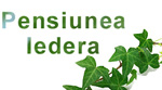 Pensiunea Popasul din deal - Ocna Sugatag
