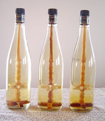Horinca de Maramu' cu fus